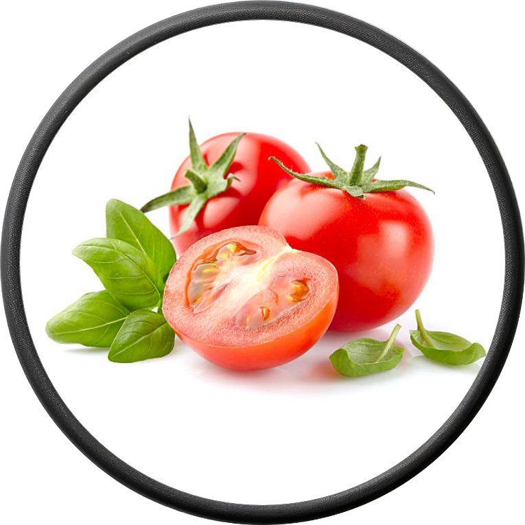 Fresh Tomato